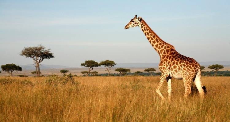 A través del Valle del Rift, Sopa Lodges - Prime Safaris 7