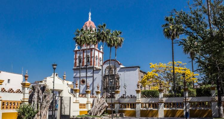 Historic colonial church complex with palm trees, yellow blossoms and blue sky.