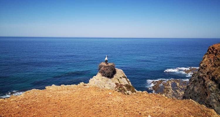 Marcher sur la côte et les plages du Portugal - Exodus Adventure Travels 7