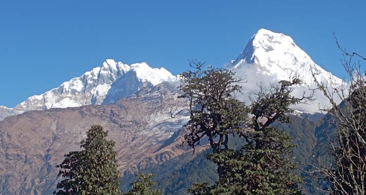 Ghorepani Poon Hill Trek avec Wildlife Adventure - en anglais - Himalayan Sanctuary Adventure 10