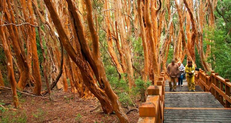 15-Day Patagonia & Iguazu Tour From Buenos Aires - Tangol Tours 6