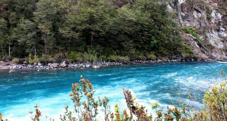 Rivière bleue et claire qui coule à travers une zone boisée.