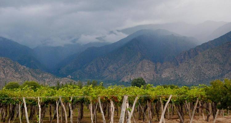 Circuito de 4 días a Salta - Tangol Tours 4