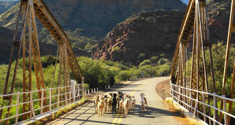 Circuito de 4 días a Salta - Tangol Tours 9