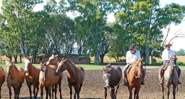 Circuito de aventura de 4 días en Buenos Aires - Tangol Tours 6