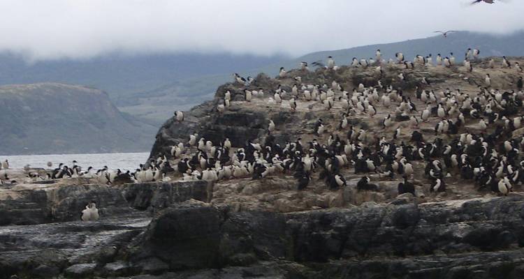 Excursión de 4 días a Ushuaia - Tangol Tours 1