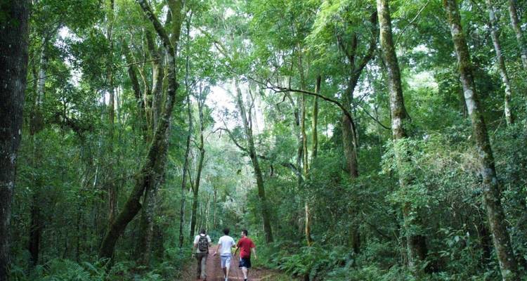 5-Day Puerto Iguazu Adventure Tour - Tangol Tours 2