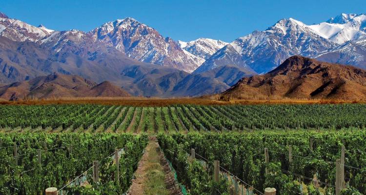 Circuit de luxe de 5 jours à Mendoza - Tangol Tours 4