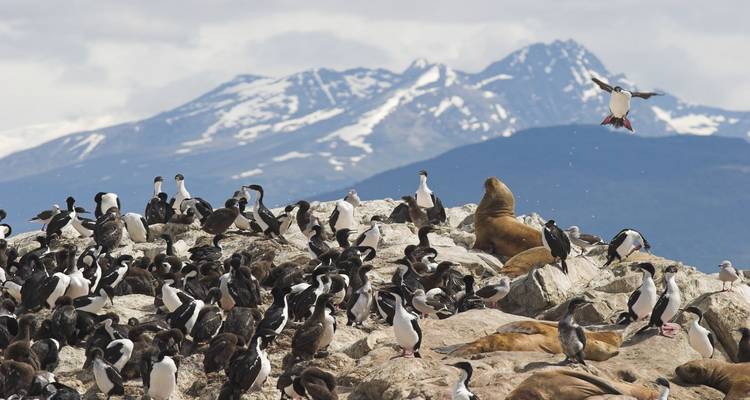 4-Day Ushuaia Luxury Tour - Tangol Tours 6