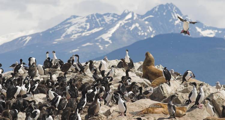 4-Day Ushuaia Luxury Tour - Tangol Tours 2