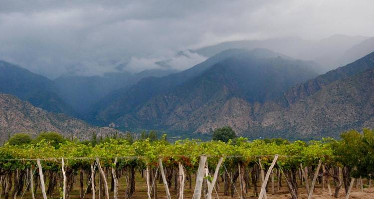 Circuit de luxe à Salta - 5 jours - Tangol Tours 3