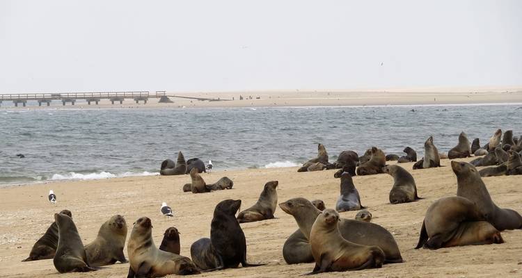 Sossusvlei & Swakopmund (Accommodated) - 4 Days - Discovery Transfers and Tours 7