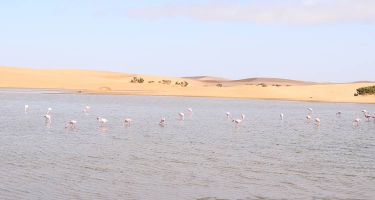 Camping de 4 jours à Sossusvlei et Swakopmund - Discovery Transfers and Tours 6