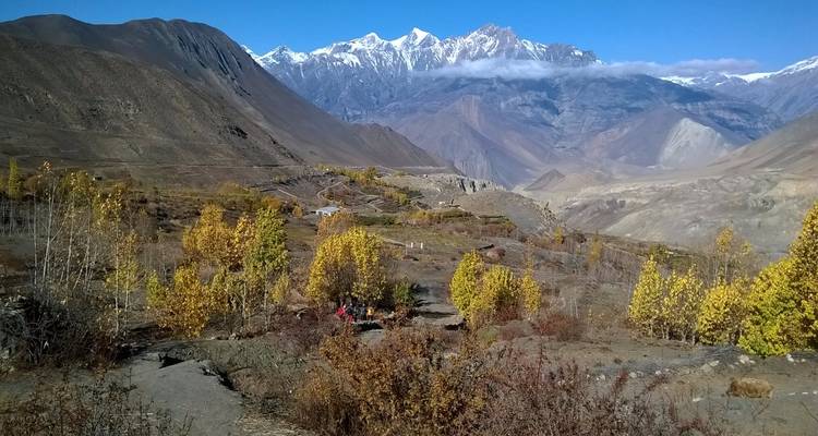 Circuit de l'Annapurna - Icicles Adventure Treks & Tours (P.) Ltd. 4