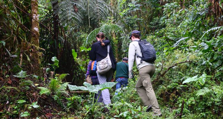 Coffee, Chocolate & Machu Picchu Hiking Tour - Ayni Peru 2