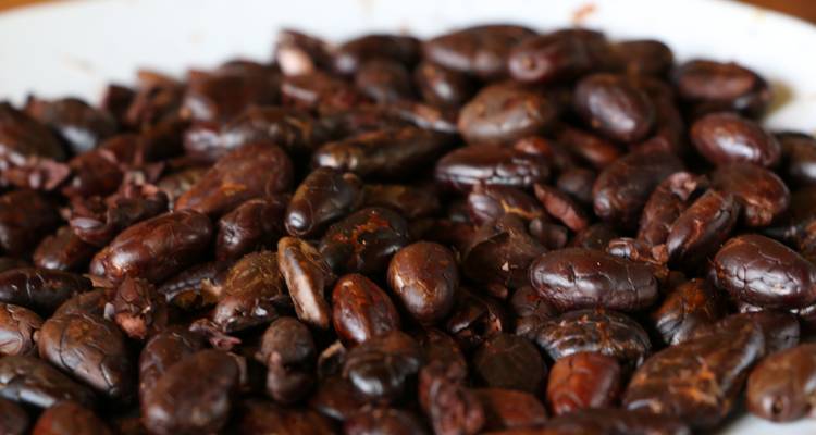Coffee, Chocolate & Machu Picchu Hiking Tour - Ayni Peru 6