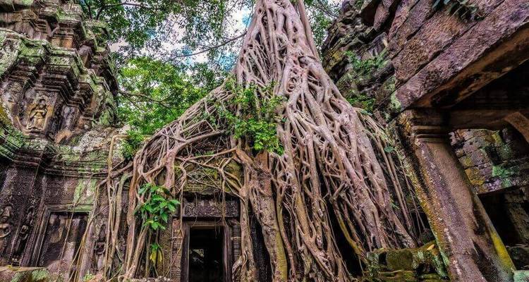 Circuit au Cambodge de Siem Reap à Phnom Penh et sur l'île de Koh Rong pour se détendre sur la plage - VietLong Travel 8