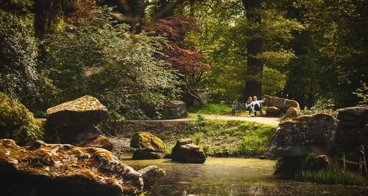 Circuito de 3 días en grupo pequeño a Yorkshire Dales y Peak District desde Manchester - Rabbie's Tours 10