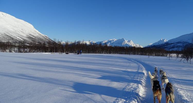 Under the Northern Lights: Arctic Dreams Norway - Nordiva Tours 9