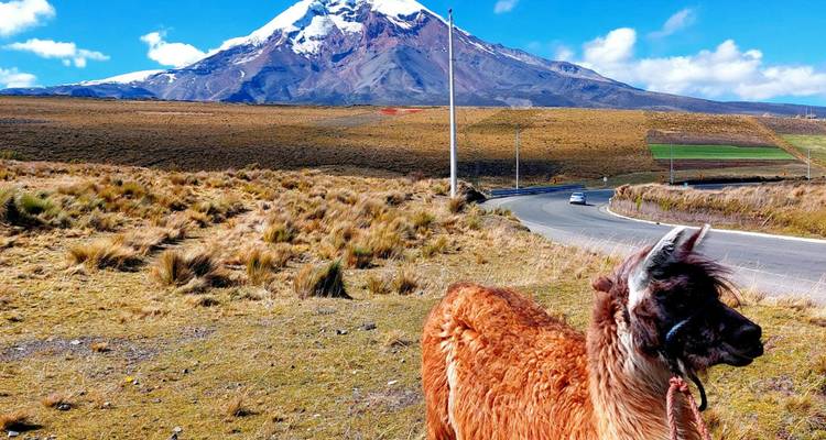 Chimborazo Prince Challenge (Escalade) - Gulliver Expeditions 6
