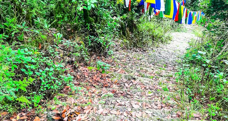 3 Days 2 Nights Kathmandu Trek: Chisapani to Nagarkot - Mount Adventure Holidays Pvt.Ltd 2