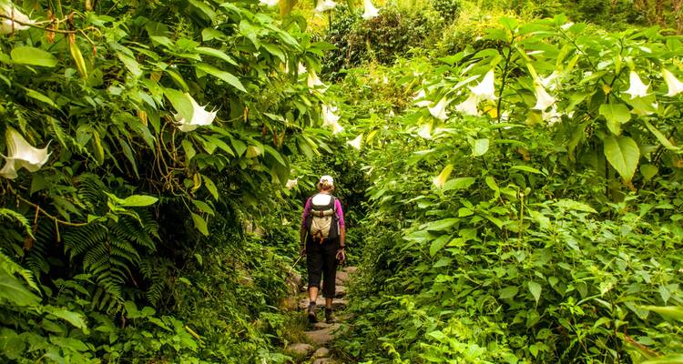 3 Days 2 Nights Kathmandu Trek: Chisapani to Nagarkot - Mount Adventure Holidays Pvt.Ltd 10