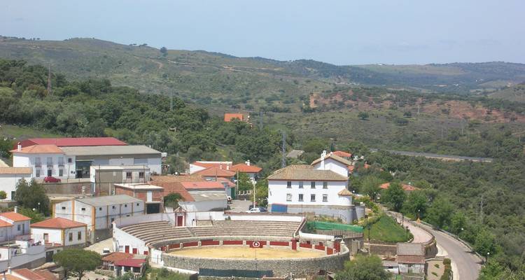 Aerial view of a small town with a bullring and surrounding hills.