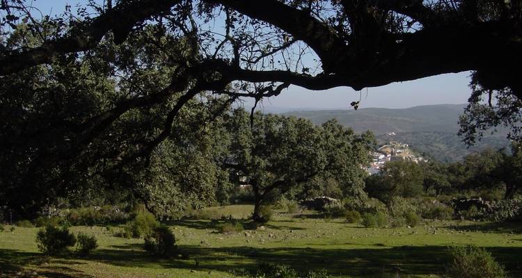Enogastronomía - TravelNal 10
