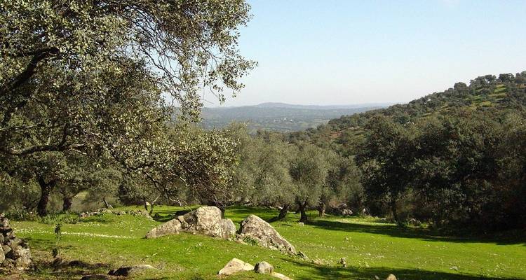 The Unknown Spain - TravelNal 6