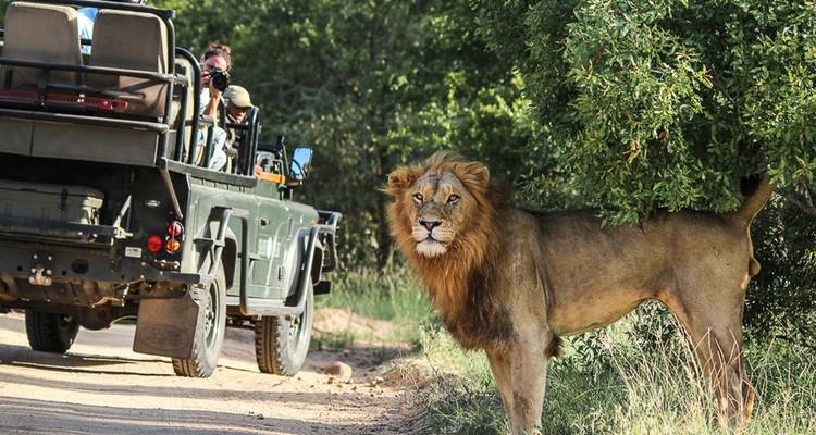 Explorador del Sur con escolta - African Travel 6