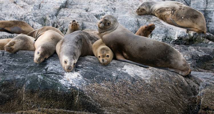 Exploring the End of the World: A 10-Day Adventure! - Trips SouthAmerica 10