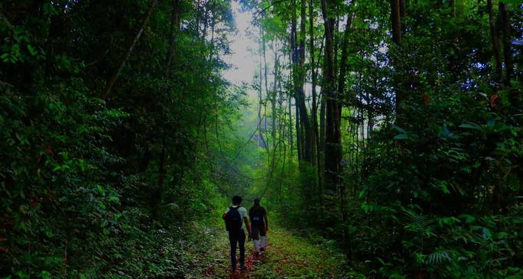 Nature & Wildlife Tour Sri Lanka (Free Upgrade Private tour for two paying clients or more available) - Acme Travels Sri Lanka  2