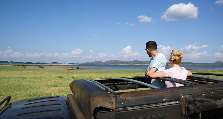Nature & Wildlife Tour Sri Lanka (Free Upgrade Private tour for two paying clients or more available) - Acme Travels Sri Lanka  10