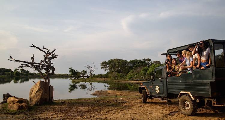Nature & Wildlife Tour Sri Lanka (Free Upgrade Private tour for two paying clients or more available) - Acme Travels Sri Lanka  3