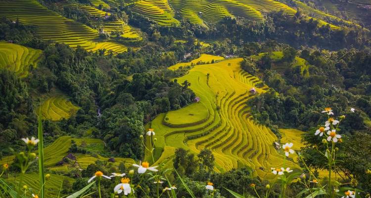 Lo mejor de Vietnam en 14 días - Realistic Asia 7