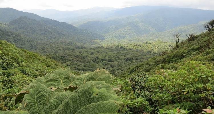 Costa Rica Adventure (Guanacaste Extension) - Costsaver 3