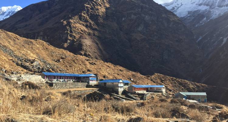 5 Days Annapurna Base Camp Trek | Short ABC Trek 2023-2024 - Trekking Trail Nepal Pvt Ltd 6