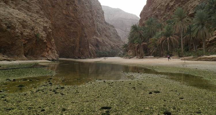 Tour Jasmin | 3 jours - Oman Day Tours  8