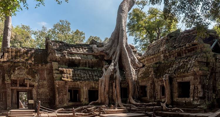 An ancient temple consumed by tree roots, possibly Ta Prohm in Cambodia.