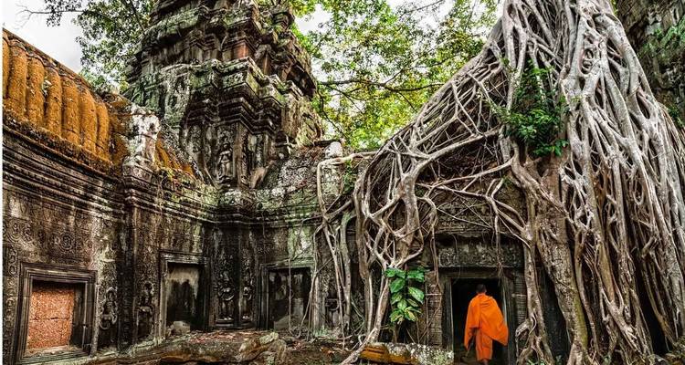 A temple ruin intertwined with tree roots, with a monk in orange robes, likely in Angkor Wat, Cambodia.