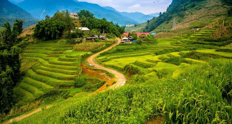 Viaje familiar a Laos de Luangprabang a Pakse pasando por Xiengkhouang y Vientiane - 12 días - DNQ Travel 7