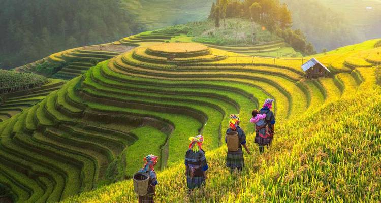L'essence du Vietnam en 18 jours - Realistic Asia 7