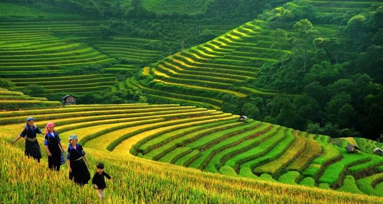 Circuito de lujo a Vietnam y Tailandia en 14 días - Realistic Asia 6