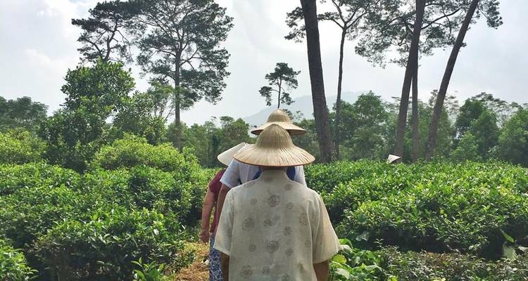 Vietnam : 9 jours de plaisir en famille - Realistic Asia 3