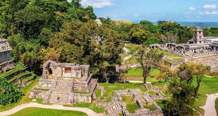 Vista panorámica de las antiguas ruinas mayas de Palenque rodeadas por la bóveda de la selva.