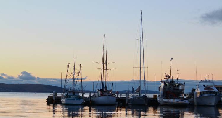Rangée de bateaux de pêche et de yachts amarrés sur une eau calme à l'aube avec un ciel aux teintes pastel et des collines lointaines.