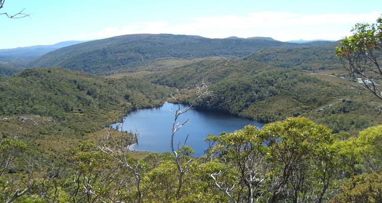 Vue panoramique élevée sur un lac en forme de cœur niché dans les collines et forêts vertes et denses de Tasmanie.