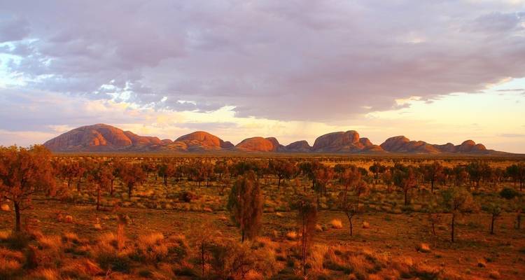 Safari Outback - AAT Kings 4