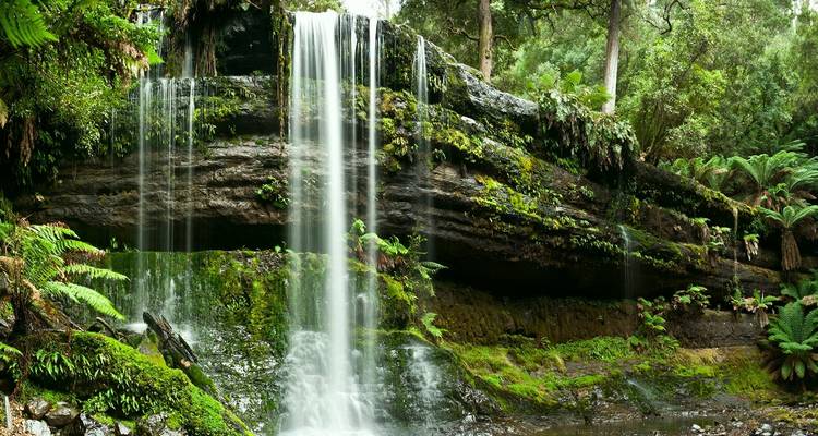 Parcs et nature de Tassie - AAT Kings 7