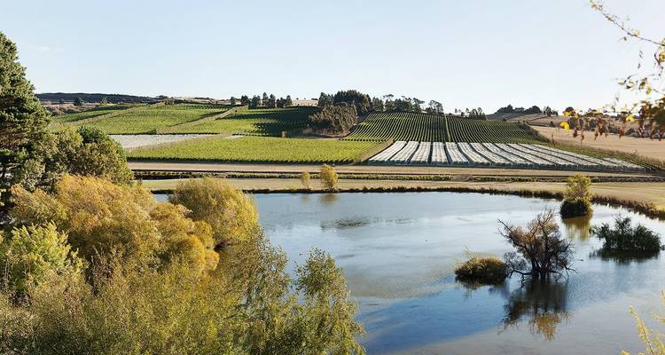Parcs et nature de Tassie - AAT Kings 6